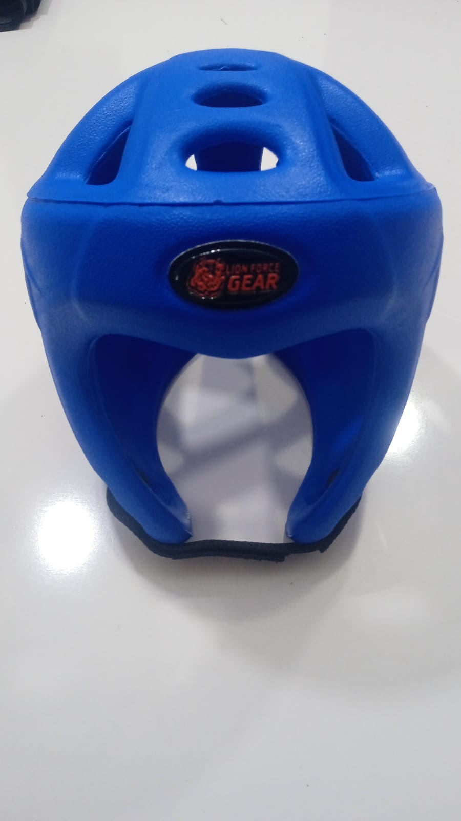 LIONFORCE HEAD GUARD