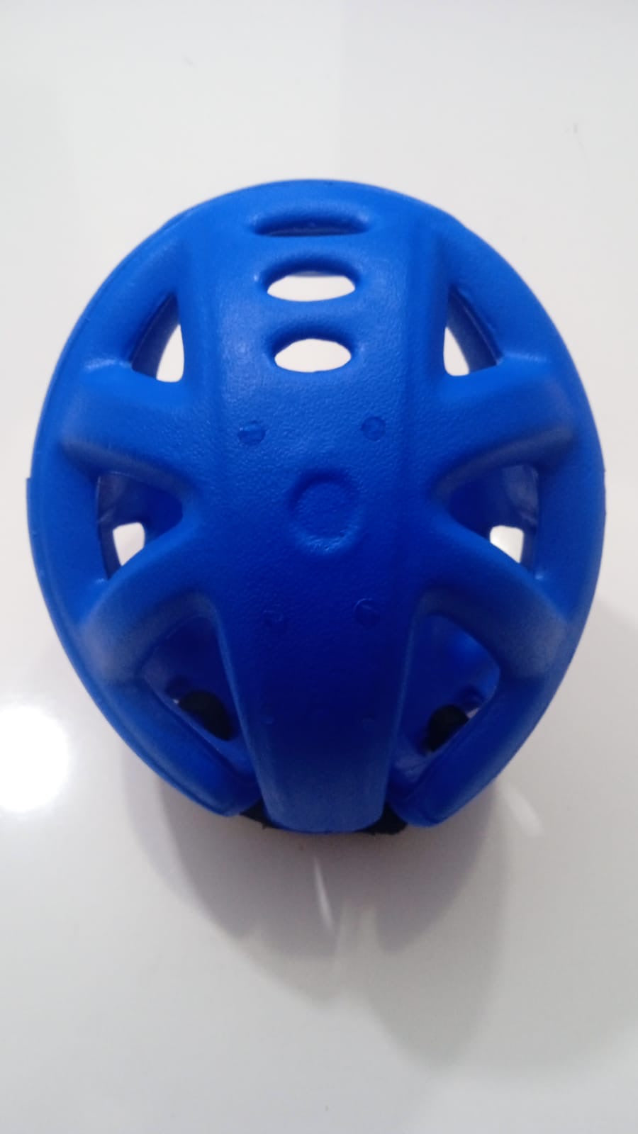 LIONFORCE HEAD GUARD