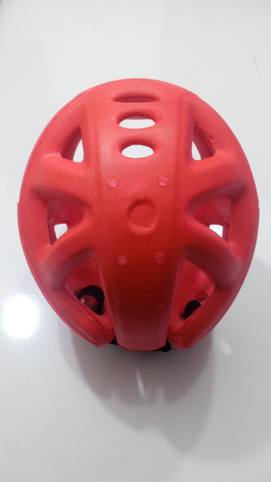 LIONFORCE HEAD GUARD