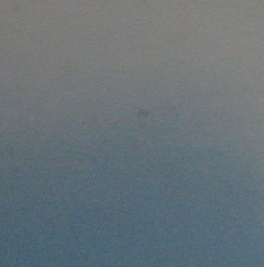 APEX BO STAFF - CHROME EDITION