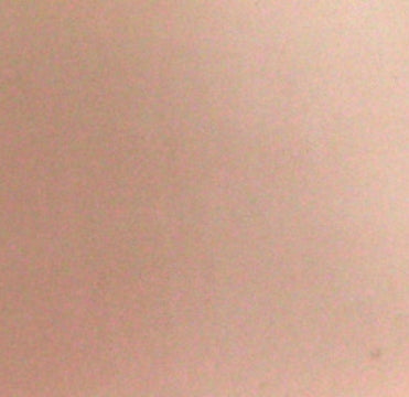 APEX BO STAFF - CHROME EDITION