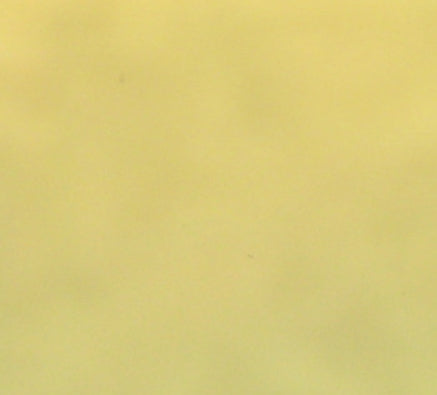 APEX BO STAFF - CHROME EDITION