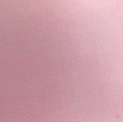 APEX BO STAFF - CHROME EDITION